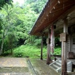 Dojo im Grünen - Bild von rebeccaseung@Flickr