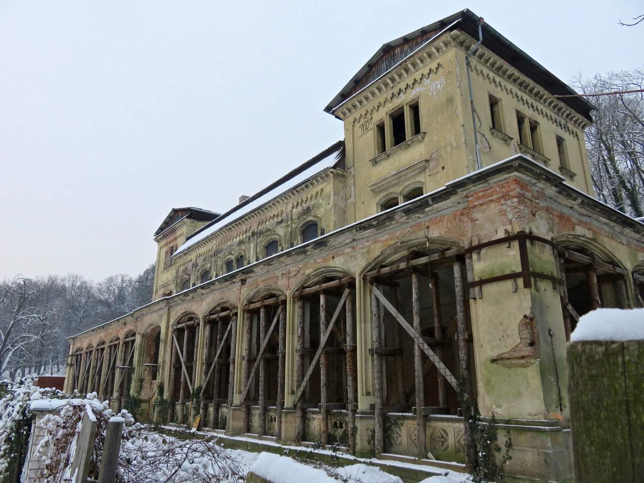 Stromovka Prag Schnee, Šlechtovka